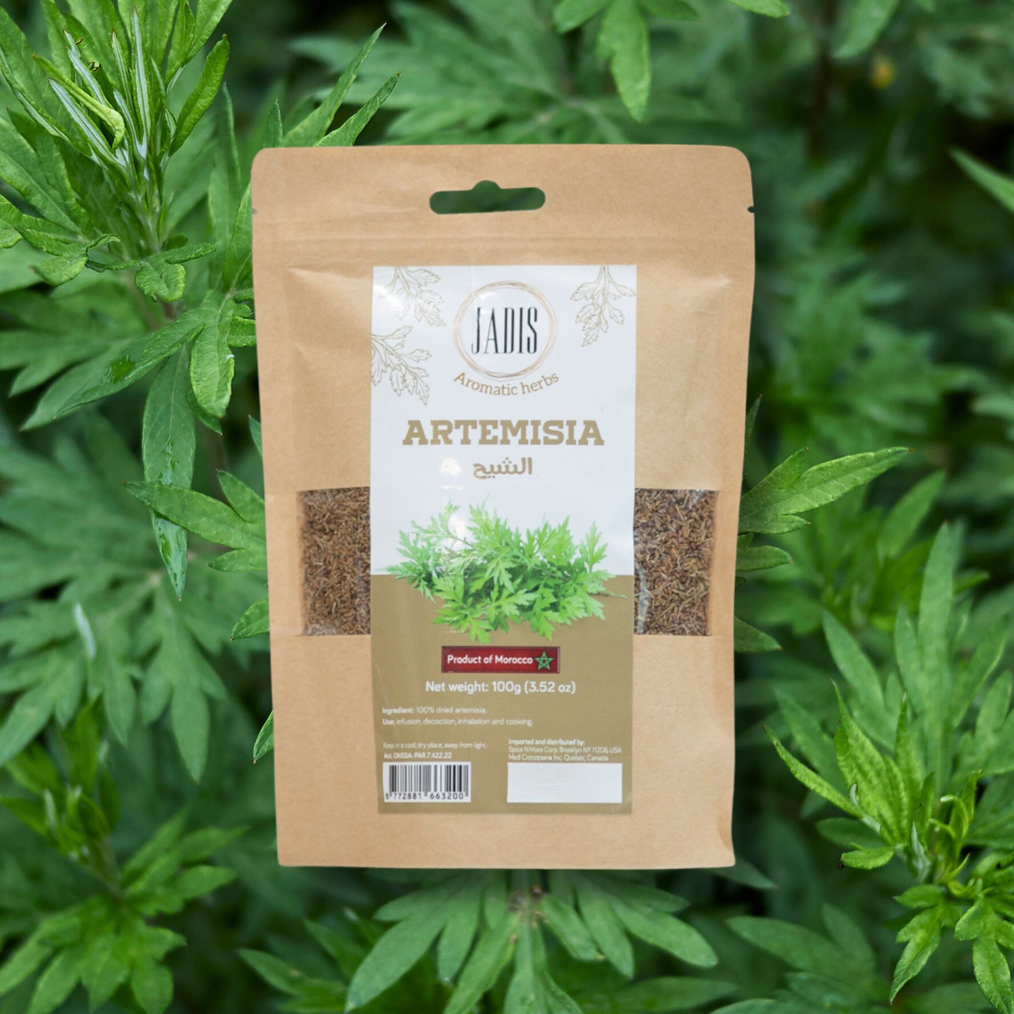 Jadis Moroccan Dried Artemisia (Mugwort)