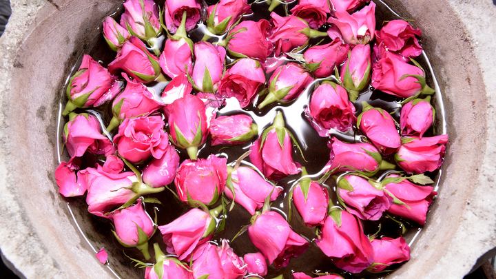 Moroccan High quality dried rose buds ,100%natural Moroccan Rose Buds.