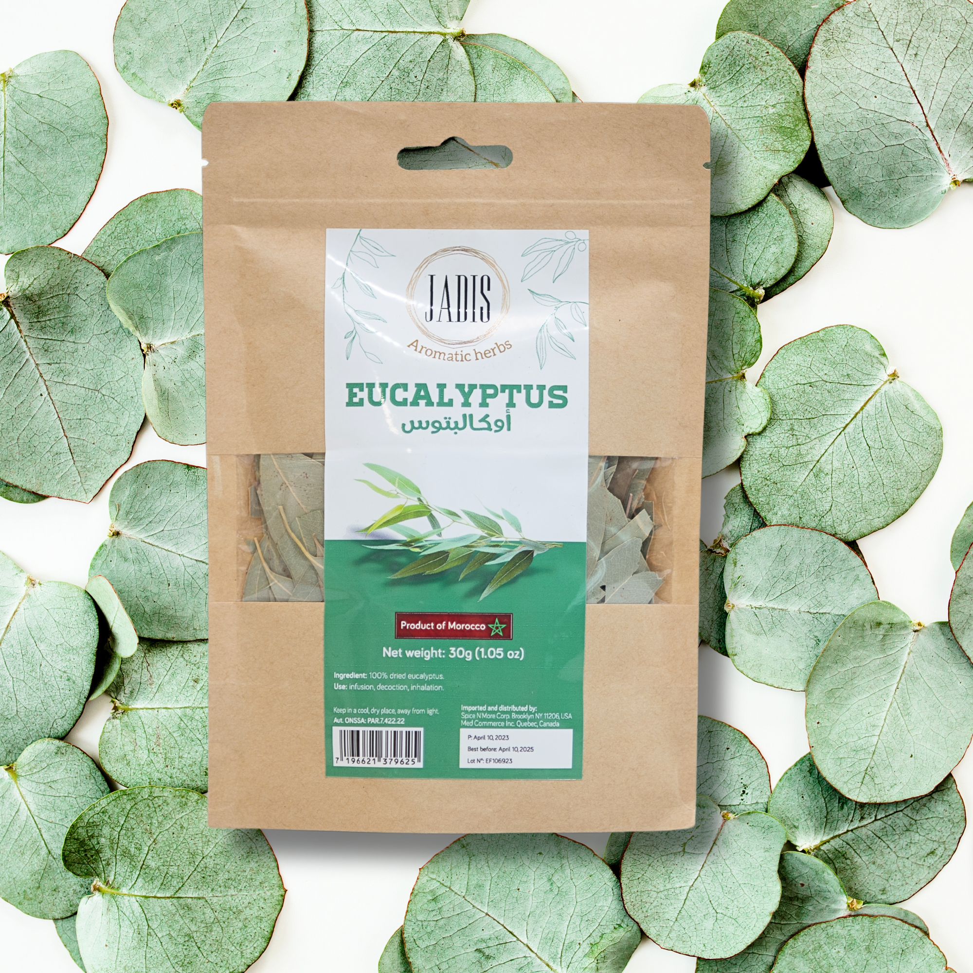 Jadis Moroccan Dried Eucalyptus Leaves